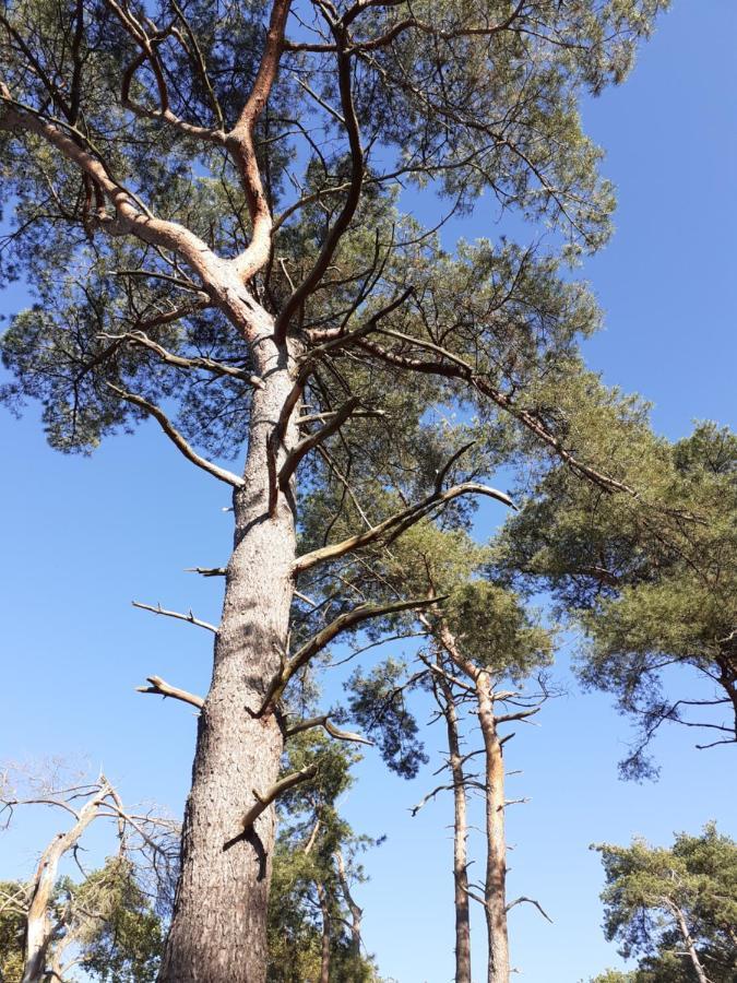 B&B Altijd Zomer Nijlen Kültér fotó
